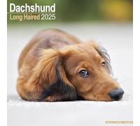 Longhaired Dachshund 2025 Square Wall Calendar | Dog Breed Calendar