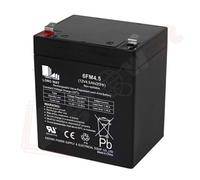LongWay Batteria 12v 4.5A 6FM4.5 AGM VRLA Ricaricabile Auto elettrica per bambin