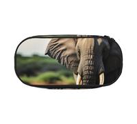 LONGZEHAO Borsa rettangolare semplice con stampa elefante africano per forniture per ufficio, cosmetici, articoli da toeletta