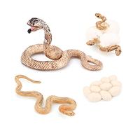 Lonrtesw di Crescita della Vita Animale Realistico Modello Biologico Giocattoli di Crescita del Serpente Modello Biologico di Crescita del Cobra