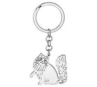LONYOO Carino in Acciaio Inox Gatto Portachiavi Regali Donna Ragazze Gatto Portachiavi Borsa Auto Chiave Charms (Argento Placcato Ragdoll)