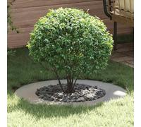 LoogCape Anello per albero in acciaio zincato argentato per tronchi piatti con diametro da 50 a 80 cm, adatto per giardino, terrazza e giardino anteriore, protegge la zona delle radici e garantisce un