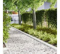 LoogCape Bordi per prato, 50 pezzi, bianco, 100 x 0,05 x 15 cm, resistenti alle intemperie, stabili, per aiuole e vialetti, flessibili, bordi per falciatura e blocco delle radici in esterni