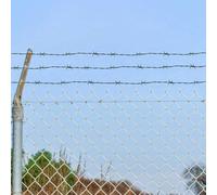 LoogCape Filo spinato verde, 100 m, in acciaio zincato a caldo per esterni sicuri, durevole e resistente alle intemperie, ideale per il montaggio di recinzioni, protezione del giardino e progetti di