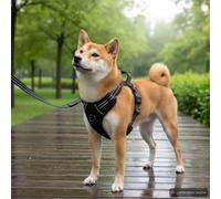LoogCape Pettorina per cani con guinzaglio, collare regolabile, nera, taglia M, per cuccioli e amici a quattro zampe, per la cura e il trasporto, per attività all'aperto, sicurezza e comfort durante