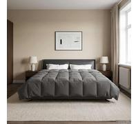 LoogCape Piumino imbottito per tutto l'anno, grigio chiaro, 240 x 260 cm, in microfibra, traspirante, lavabile, durevole, per inverno, estate, mezza stagione
