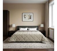 LoogCape Piumone invernale grigio chiaro, 200 x 220 cm, in microfibra e pile, traspirante, lavabile, calda, leggera, per un sonno piacevole tutto l'anno, design moderno, anallergico