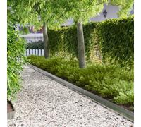 LoogCape Recinzione per prato, 20 pezzi, 100 x 10 x 8 cm, in acciaio argento, resistente alle intemperie, stabile, sistema a incastro flessibile, per giardino, prato, sconti, blocco delle radici