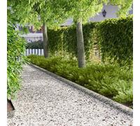 LoogCape Recinzione per prato, 20 pezzi, 100 x 15 cm, in acciaio, argento, resistente alle intemperie, flessibile, delimitazione del giardino, sistema a incastro, per sentieri e prati