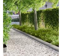 LoogCape Recinzione per prato, 30 pezzi, 100 x 20 cm, in acciaio argento, resistente alle intemperie, robusta, flessibile, delimitazione da giardino per aiuole, sentieri, deboli, aiuole per piante