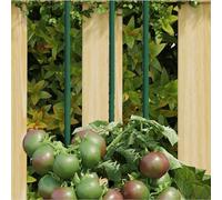 LoogCape Supporto per piante, 30 pezzi, verde, 60 cm, in acciaio, aiuto per pomodori, fiori, verdure, balcone, giardino, vaso, aiuola, protezione dal vento, supporto durevole per crescita e stabilità