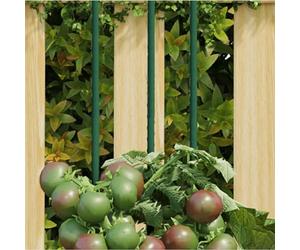 LoogCape Supporto per piante, 30 pezzi, verde, 60 cm, in acciaio, aiuto per pomodori, fiori, verdure, balcone, giardino, vaso, aiuola, protezione dal vento, supporto durevole per crescita e stabilità