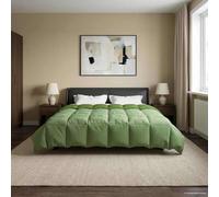 LoogCape Trapunta estiva imbottita, verde, 200 x 220 cm, in microfibra di cotone, traspirante, leggera, per l'estate e le mezze stagioni, ideale per chi soffre di allergie e utilizzabile tutto l'anno