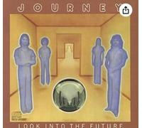 Look Into the Future