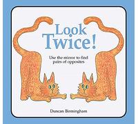 Look Twice: Mirror Reflections, Logical Thinking