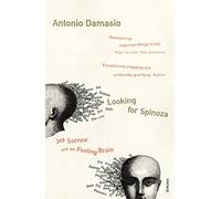 Looking For Spinoza: Joy, Sorrow and the Feeling Brain