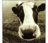 Looking Out the Fishbowl