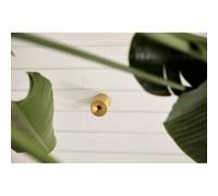 LOOM DESIGN plafoniera LED Nyx, ottone, IP54 LOOM DESIGN