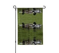 Loon Nature Bird - Bandiera da giardino double-face, 71,1 x 101,6 cm (leggera), vivace stampa su tutta la superficie, decorazione per cortile, giardino, terrazza o portico