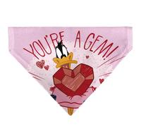 Looney Tunes Pet Bandana Daffy Duck Youre a Gem Heart Pose and Title Logo Pink S