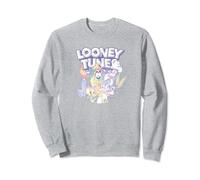 Looney Tunes Rainbow Friends Felpa