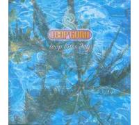 Loop Guru - Loop Bites Dog