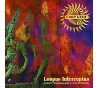 Loop Guru - Loopus Interruptus