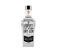 Loopuyt Dry Gin 45,1% Vol. 0,7l