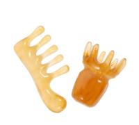 LOORGVEL 2 pezzi Pettine Capelluto in Resina Strumento Manuale Guasha con Design Unico e Denti Lisci per e Stimolazione Capelluto Leggero e Portatile per Tutti i Tipi di