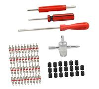 LOORGVEL Kit Riparazione Valvole Pneumatici con Strumenti Estensore e Rimozione Valvola per Auto Bici Ed E Bike Professionale Resistente e Facile da Usare