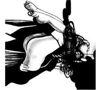 Loose Fur Born Again in the USA (CD) Album
