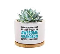 Loovelo Vaso per piante grasse in ceramica con vassoio in bambù da 8,9 cm, con scritta "I Never Dreamed that I'd Grow Up to Be an Awesome Grandson But Here I Am Killin' It Grandma Grandpa", idea