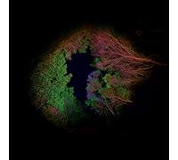 Lopez Francisco - Hidden Island Music (Untitled 398)