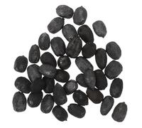 LOPUNER Stufa Da Tè a Carbone D'oliva Carbone Domestico Carbone Da Cucina Carbone Di Legna Da Ardere Borsa Di Grandi Dimensioni Griglia a Carbone Fornello Da Cucina a Carbone Per Nero