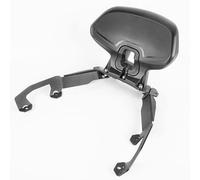 Lorababer Schienale per passeggero basso rimovibile per moto FORZA350 21-23 Sissy Bar verticale compatibile con Ho-nda Forza 350 Forza350 2021 2022 2023 Cuscino posteriore in spugna (nero)