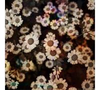 L'Orange - World Is Still Chaos, But I Feel Better (LP)