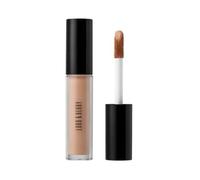 Lord & Berry - Cover Up Concealer Cream - 6 Colors #Light Nude - 4.5ml