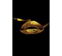 Lord Fashions Cover Design 05: A5 squared notebook with margins in a beautiful hard cover | for school pupils and students | 160 pages