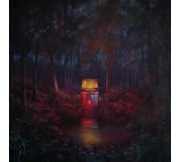 Lord Huron The Cosmic Selector - Volume 1 (Vinyl LP)