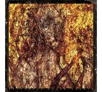 Lord Mantis Universal Death Church (CD) Album