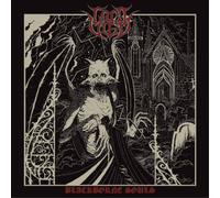 Lord Vigo - Blackborne Souls