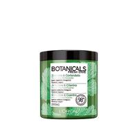 L'Oréal Paris Botanicals Coriandolo Fonte di Forza, Maschera per Capelli Fragili o Danneggiati, 200 ml