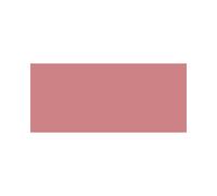 L'oréal paris True Match Blush 120 Santal Rose 165 Rose Bonne Min - Fard