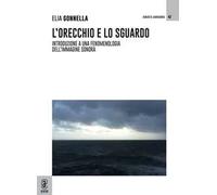 L'orecchio e lo sguardo. Introduzione a una fenomenologia dell'immagine sonora
