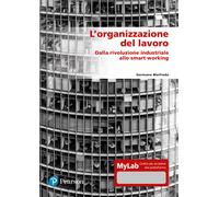 L'organizzazione del lavoro. Dalla rivoluzione industriale allo smart work...