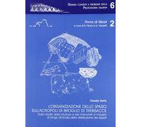 L'organizzazione dello spazio sull'acropoli di Broglio di Trebisacce. Dallo studio delle strutture e dei manufatti... all'analisi della distribuzione dei reperti