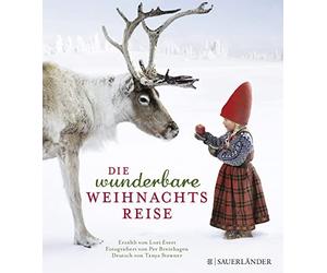 Lori Evert Per Breiehagen Ta Die wunderbare Weihnachtsreise: (Copertina rigida)