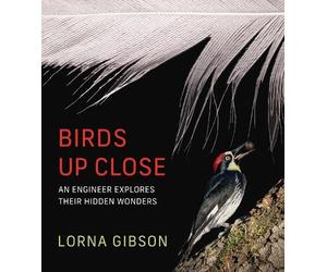 Lorna Gibson Birds Up Close (Copertina rigida) (PRESALE 28/04/2026)