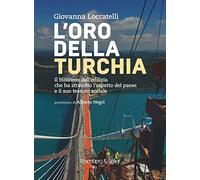 L' oro della Turchia. Il business dell'edilizia che ha stravolto l'aspetto del Paese e il suo tessuto sociale