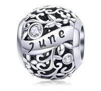 Lorrifal Ciondoli Originali in Argento Sterling 925 con Zirconia Cubica Pietra di Nascita Charm Portafortuna Adatti per bBraccialetti Pandora, Collane e Gioielli Perfetti per Compleanno